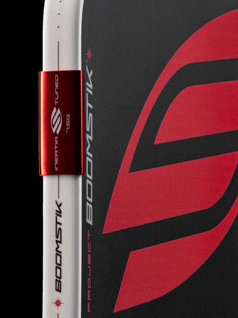 Selkirk LABS Project BOOMSTIK